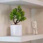 Ag1 Apartman